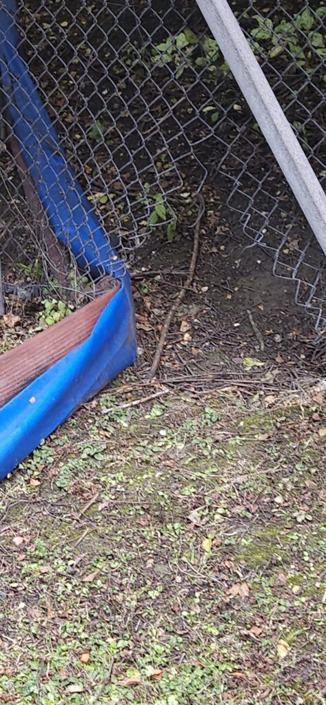 Breached chain-link fence used as access point during live penetration test

